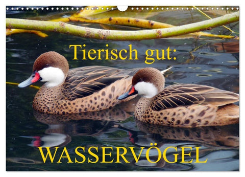 Tierisch gut: Wasservögel (Wandkalender 2027 DIN A3 quer), CALVENDO Monatskalender