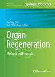 Organ Regeneration