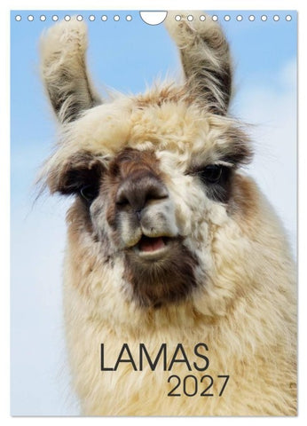 LAMAS (Wandkalender 2027 DIN A4 hoch), CALVENDO Monatskalender