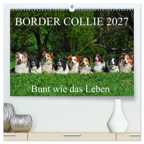 Border Collie 2027 (hochwertiger Premium Wandkalender 2027 DIN A2 quer), Kunstdruck in Hochglanz