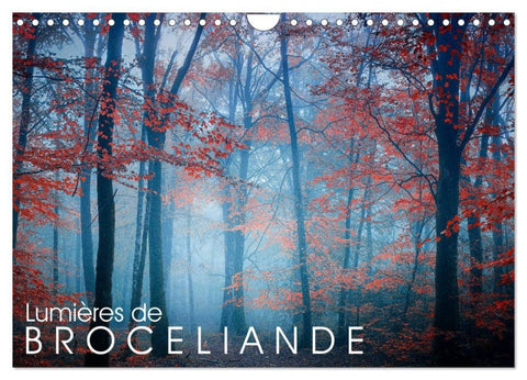 Lumières de Brocéliande (Calendrier mural 2027 DIN A4 vertical), CALVENDO calendrier mensuel