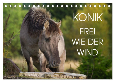 Konik - Frei geboren (Tischkalender 2026 DIN A5 quer), CALVENDO Monatskalender