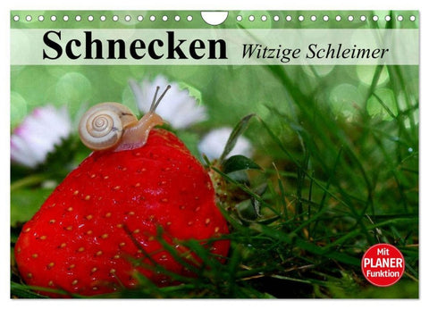 Schnecken. Witzige Schleimer (Wandkalender 2026 DIN A4 quer), CALVENDO Monatskalender