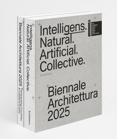 Biennale Architettura 2025