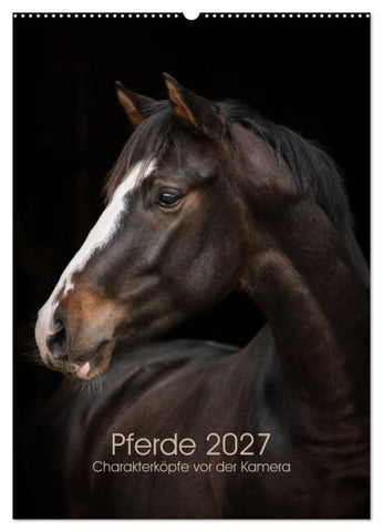Pferde 2027 - Charakterköpfe vor der Kamera (Wandkalender 2027 DIN A2 hoch), CALVENDO Monatskalender
