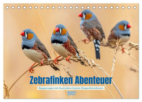 Zebrafinken Abenteuer (Tischkalender 2027 DIN A5 quer), CALVENDO Monatskalender
