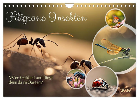 Filigrane Insekten (Wandkalender 2026 DIN A4 quer), CALVENDO Monatskalender