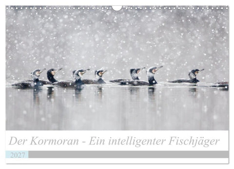 Der Kormoran - Ein intelligenter Fischjäger (Wandkalender 2027 DIN A3 quer), CALVENDO Monatskalender