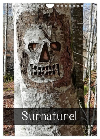 Surnaturel (Calendrier mural 2027 DIN A4 horizontal), CALVENDO calendrier mensuel
