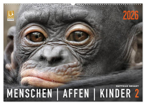 MENSCHENAFFENKINDER 2 (Wandkalender 2026 DIN A2 quer), CALVENDO Monatskalender