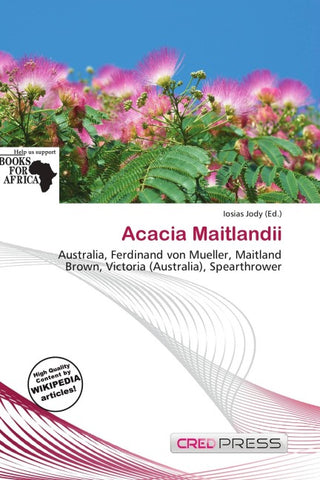 Acacia Maitlandii