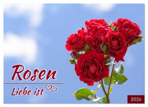 Rosen, Liebe ist (Wandkalender 2026 DIN A3 quer), CALVENDO Monatskalender