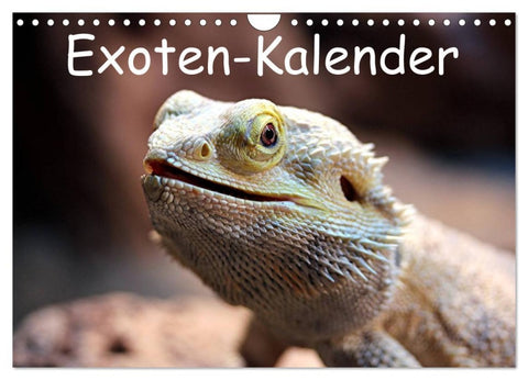 Exoten-Kalender (Wandkalender 2026 DIN A4 quer), CALVENDO Monatskalender