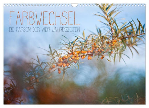 Farbwechsel - Die Farben der vier Jahreszeiten (Wandkalender 2027 DIN A3 quer), CALVENDO Monatskalender