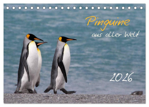 Pinguine aus aller Welt (Tischkalender 2026 DIN A5 quer), CALVENDO Monatskalender