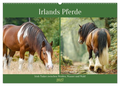 Irlands Pferde. Irish Tinker zwischen Weiden, Wasser und Wald (Wandkalender 2027 DIN A2 quer), CALVENDO Monatskalender