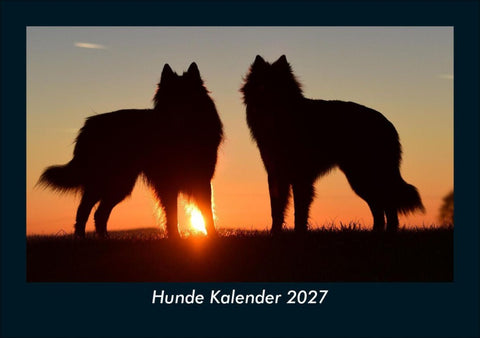 Hunde Kalender 2027 Fotokalender DIN A5