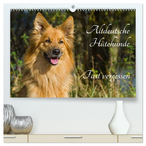 Altdeutsche Hütehunde - Fast vergessen (hochwertiger Premium Wandkalender 2026 DIN A2 quer), Kunstdruck in Hochglanz
