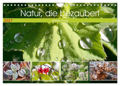 Natur, die bezaubert (Wandkalender 2027 DIN A4 quer), CALVENDO Monatskalender