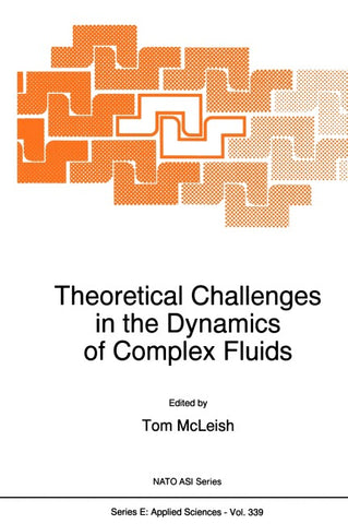 Theoretical Challenges in the Dynamics of Complex Fluids
