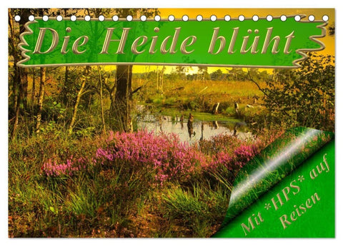 Die Heide blüht (Tischkalender 2027 DIN A5 quer), CALVENDO Monatskalender