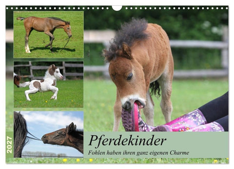 Pferdekinder - Fohlen haben ihren ganz eigenen Charme (Wandkalender 2027 DIN A3 quer), CALVENDO Monatskalender