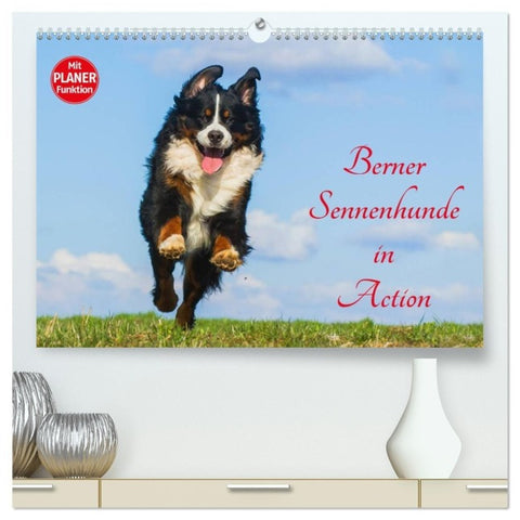 Berner Sennenhunde in Action (hochwertiger Premium Wandkalender 2027 DIN A2 quer), Kunstdruck in Hochglanz