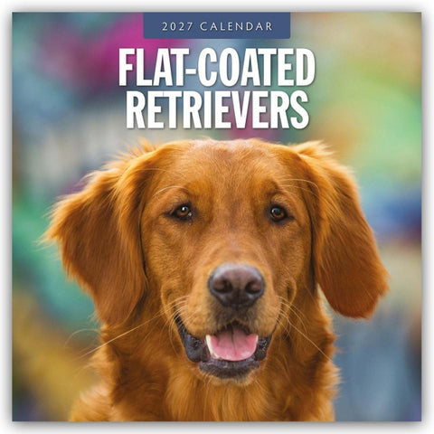 Flat-Coated Retrievers – Flat Coated Retriever 2027 – 16-Monatskalender