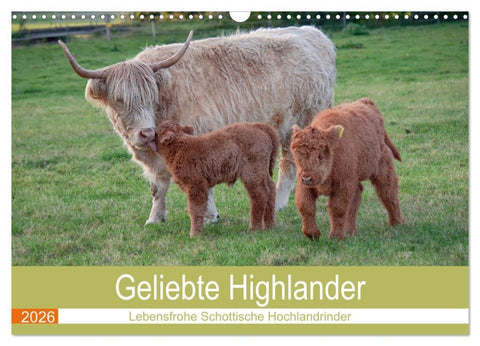 Geliebte Highlander (Wandkalender 2026 DIN A3 quer), CALVENDO Monatskalender