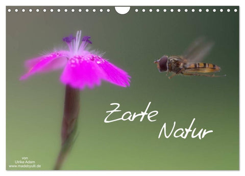 Zarte Natur 2027 (Wandkalender 2027 DIN A4 quer), CALVENDO Monatskalender