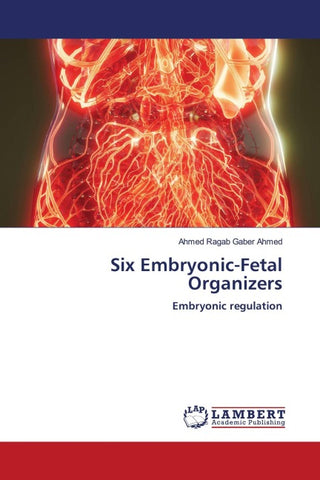 Six Embryonic-Fetal Organizers