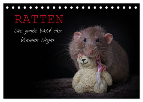 Ratten. Die große Welt der kleinen Nager (Tischkalender 2026 DIN A5 quer), CALVENDO Monatskalender