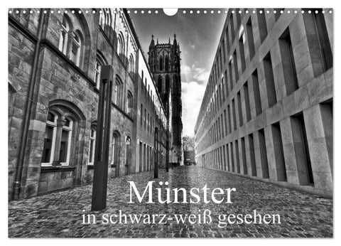 Münster in schwarz-weiß gesehen (Wandkalender 2027 DIN A3 quer), CALVENDO Monatskalender