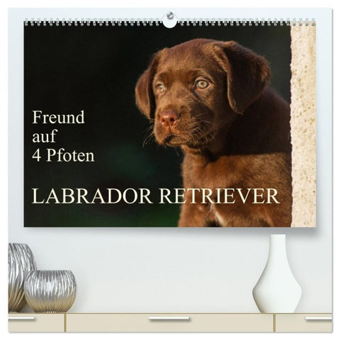 Freund auf 4 Pfoten - Labrador Retriever (hochwertiger Premium Wandkalender 2027 DIN A2 quer), Kunstdruck in Hochglanz