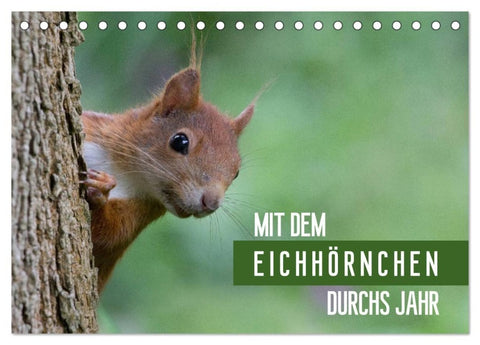 Mit dem Eichhörnchen durchs Jahr (Tischkalender 2027 DIN A5 quer), CALVENDO Monatskalender