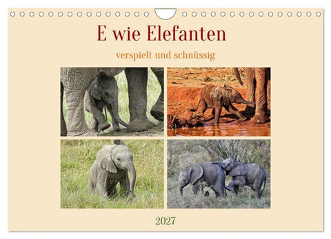 E wie Elefanten - verspielt und schnüssig (Wandkalender 2027 DIN A4 quer), CALVENDO Monatskalender