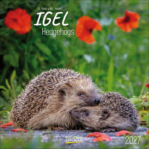 Igel 2027