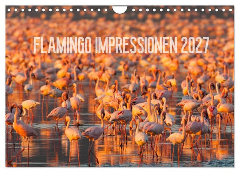 Flamingo Impressionen 2027 (Wandkalender 2027 DIN A4 quer), CALVENDO Monatskalender