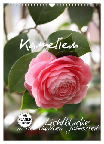 Kamelien Lichtblicke in der dunklen Jahreszeit (Wandkalender 2027 DIN A3 hoch), CALVENDO Monatskalender