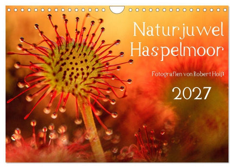 Naturjuwel Haspelmoor (Wandkalender 2027 DIN A4 quer), CALVENDO Monatskalender