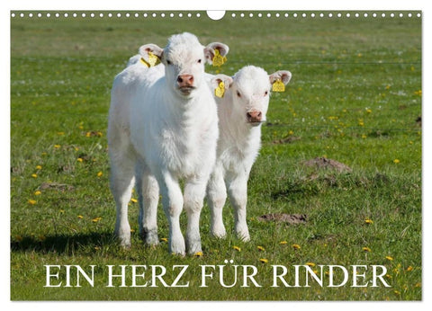 Ein Herz für Rinder (Wandkalender 2027 DIN A3 quer), CALVENDO Monatskalender
