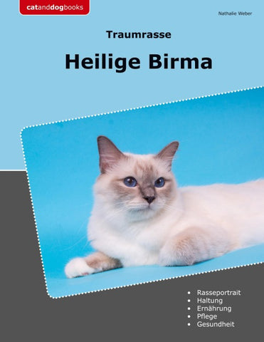 Traumrasse Heilige Birma