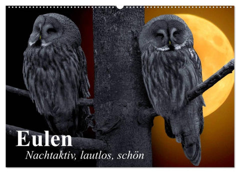 Eulen. Nachtaktiv, lautlos, schön (Wandkalender 2026 DIN A2 quer), CALVENDO Monatskalender