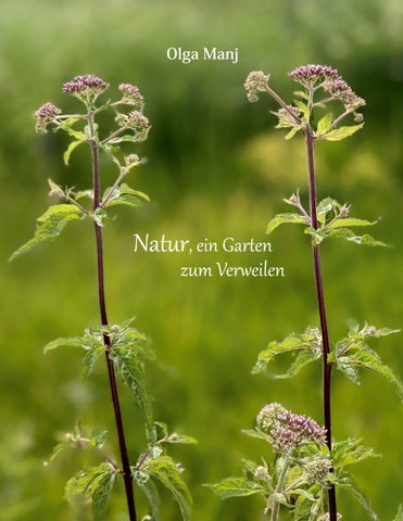 Natur, ein Garten zum Verweilen