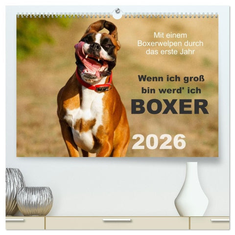 Wenn ich groß bin werd' ich Boxer (hochwertiger Premium Wandkalender 2026 DIN A2 quer), Kunstdruck in Hochglanz