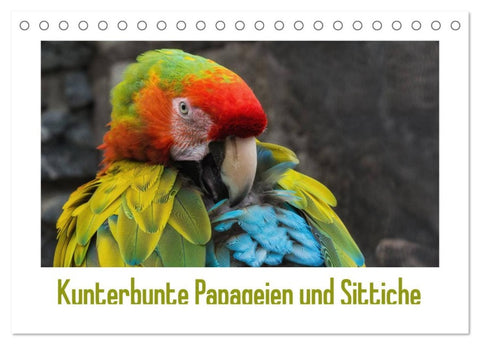 Kunterbunte Papageien und Sittiche (Tischkalender 2026 DIN A5 quer), CALVENDO Monatskalender