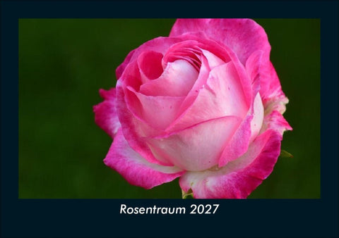 Rosentraum 2027 Fotokalender DIN A5