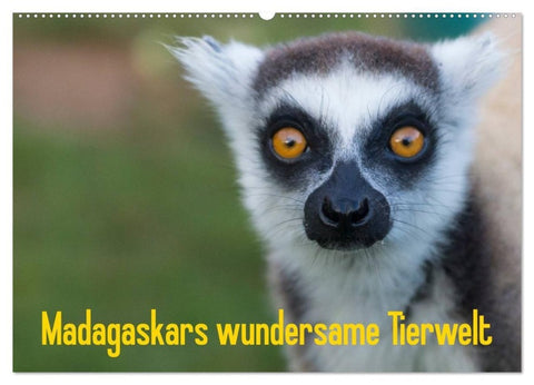 Madagaskars wundersame Tierwelt (Wandkalender 2026 DIN A2 quer), CALVENDO Monatskalender