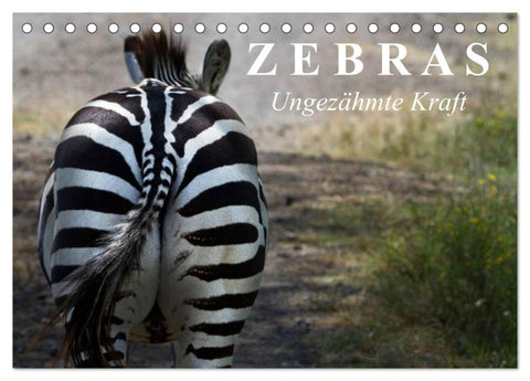 Zebras - Ungezähmte Kraft (Tischkalender 2026 DIN A5 quer), CALVENDO Monatskalender