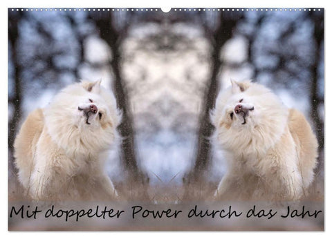 Mit doppelter Power durch das Jahr (Wandkalender 2027 DIN A2 quer), CALVENDO Monatskalender